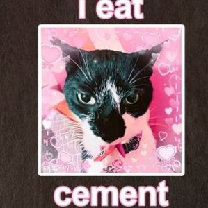 Meet your Posher, Wren